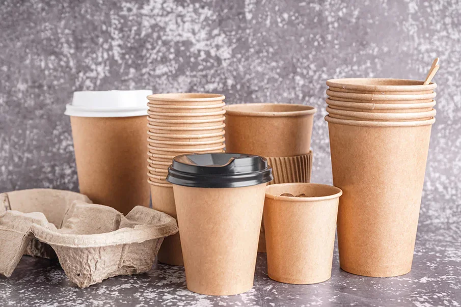 Paper Cup Measurements, Usage Areas and Size Selection